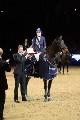 Cracker - 00612